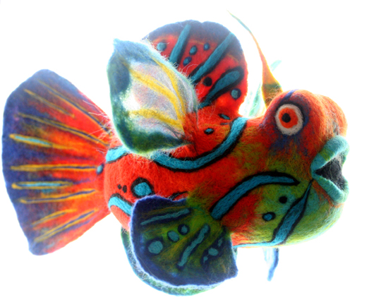 jayne_routley_mandarin_fish